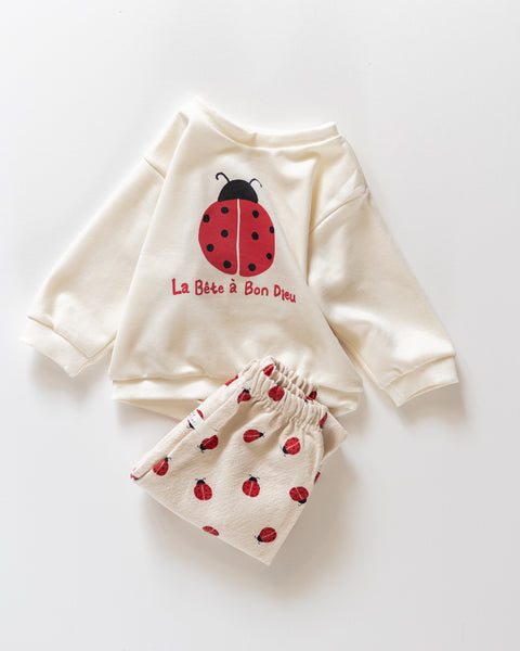 ladybug pull over