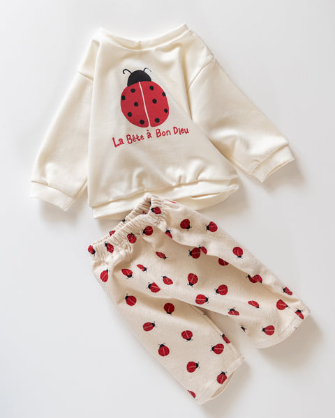 ladybug pull over