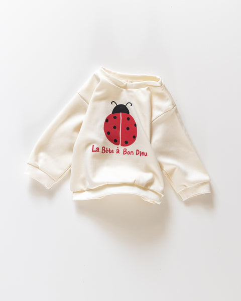 ladybug pull over