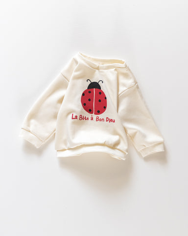 ladybug pull over